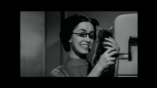 Movie Preview No Spoiler - The Wasp Woman (1959) Cult Clips