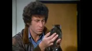 Starsky & Hutch - Two Cats