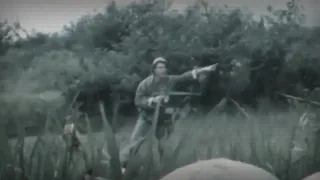 ＣＡＭＯＵＦＬＡＧＥ　－　ＵＳＭＣ　ＩＮ　ＶＩＥＴＮＡＭ　（＇６５－＇６９）　ンゲ鬱炎ぽ