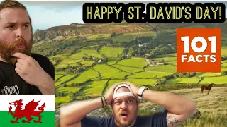 HAPPY ST. DAVID'S DAY!!! Americans React To "101 Facts About Wales"