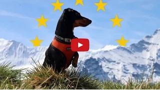 Crusoe the Dachshund Goes to Europe - 2015 Full Video