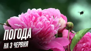 ⛈️ Погода на 3 червня: небо прорвало! Дощі і холод - майже в усіх регіонах!