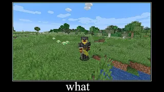 Minecraft wait what meme part 49 (Electro armor)