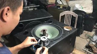 Full video of Trees speaker replacement