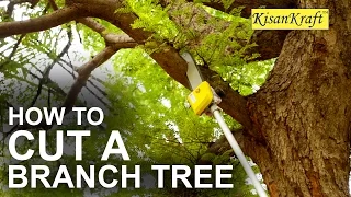 How to Cut a Tall Tree Branch with Pole Pruner | Kisankraft