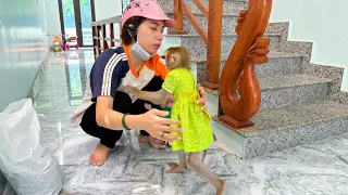 Monkey Kaka hugged her mom tightly after many days of separation