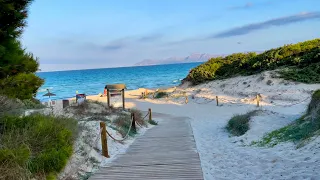 Playa de Muro 💜 Bucht von Alcudia 🇪🇸 traumhafter Strand 🏖️ Mallorca 💜 S’Albufera  🌴 Fotomotiv