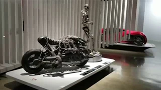 2017 Skynet Moto-Terminator