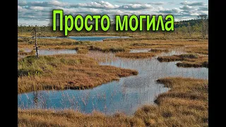 Просто могила. СТАЛКЕР ОНЛАЙН  STALKER ONLINE  STAY OUT