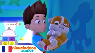 Paw Patrol : La Pat' Patrouille | L'étrange fantôme | NICKELODEON JUNIOR