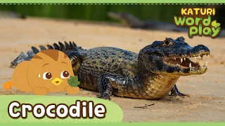 * Crocodile * | Katuri Word Play | Learn Animals | Animals for kids to learn