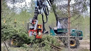 Biomass harvesting with Nisula 335E+ tree shear!