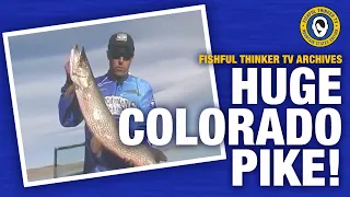 Huge Colorado Pike (pike fishing techniques)