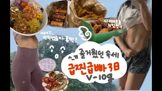 다이어트 Vlog ) 3일동안 -2.4kg 감량! | 폭식 후 급찐급빠 다이어트 | 단기간 다이어트 식단 및 운동