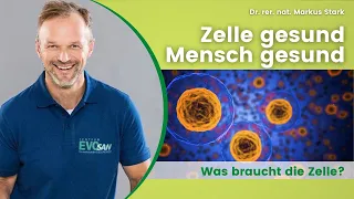 Markus Stark zum Thema "Zelle gesund - Mensch gesund"