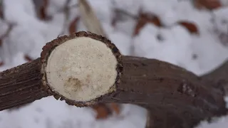 Našiel som zhody...