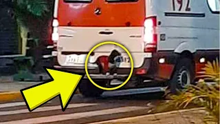 Loyal dog jumps on back of ambulance to go with owner to the hospital