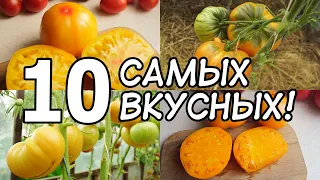 10 ЛУЧШИХ СОРТОВ ТОМАТОВ ЭТОГО СЕЗОНА!!! САМЫЕ ВКУСНЫЕ И СЛАДКИЕ ЖЁЛТЫЕ ТОМАТЫ, КОТОРЫЕ Я ВЫРАСТИЛ!