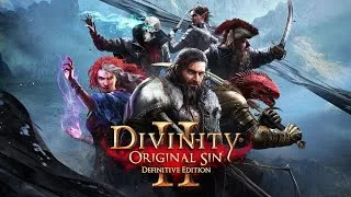 [Divinity: Original Sin II] [PS4 PRO] [Полное прохождение] [Часть 14]