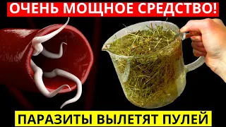 Мощнейшее средство от паразитов! Всего 1 ложка этой смеси и Вылетят Как Ошпаренные Навсегда!