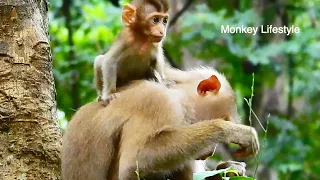 Emotional feeling! Mom Libby persuade comfort and feed milk to adorable BB Rainbow