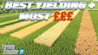 Which crop will make you the money in Farming SImulator 22!