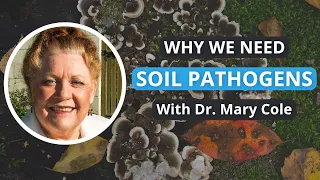 Pathogenic Fungi & Plant Pathogens | Dr Mary Cole | Soil Food Web School