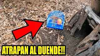 CAPTURAN 1 DUENDE REAL en una JAULA | Laguna Negra