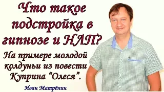 Что такое подстройка в гипнозе? Пример молодой колдуньи из повести Куприна «Олеся».