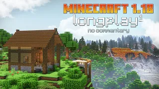 Minecraft 1.18 - Peaceful Longplay | Building small House (No Commentary)