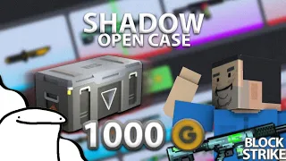 SHADOW OPEN CASE (1000 Golds) - Block Strike