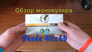 Обзор монокуляра Panda 40x60 со штативом и креплением для телефона.