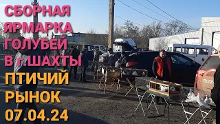 Сборная ярмарка голубей в г.Шахты. Птичий рынок 07.04.24. Pigeon Fair. Bird Market. الحمام. 鸽子.