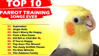 TOP 10 PARROT TRAINING SONGS EVER-Whistle Training-Teach Your Bird-Cockatiel Singing-Budgie