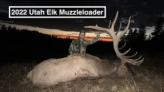 2022 Utah LE  Muzzleloader Elk - Rutting bulls going wild!