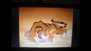 Animated Big Cats: Eye of the Tiger Part 1