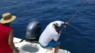 Sharks Steal Catch