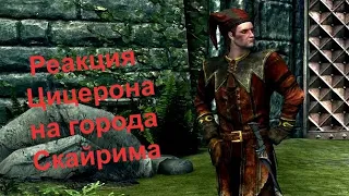 Реакция Цицерона на Города Скайрима  -  Skyrim