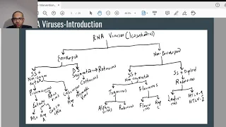 Divine Intervention Episode 218 USMLE Step 1 Micro Review Part 3 Viruses