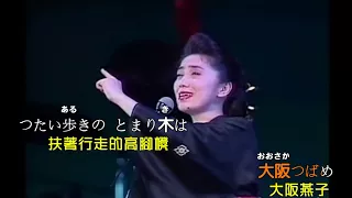 【大阪つばめ+波止場しぐれ】石川さゆり//日文/漢譯/中譯//LIVE版