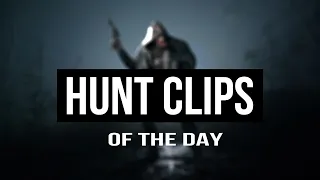 Hunt Clips of the day | 04.04.2024