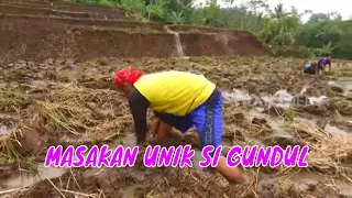 [FULL] MASAKAN UNIK ALA SI GUNDUL | JEJAK SI GUNDUL (01/07/23)