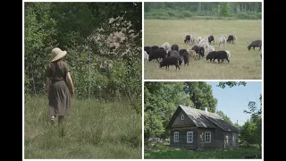 Apsigyvenimas kaimo sodyboje padėjo užmegzti ryšį su gamta: avių auginimas prilygsta vidinei ramybei