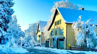 SWITZERLAND _ Winter Wonderland🇨🇭Zurich City Covered In Snow , City Snowfall