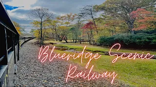 Amazing Fall Colors |Train Ride Blue Ridge Mountains | Blue Ridge Scenic Railway