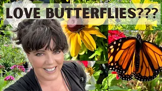 There is Always an Adventure to be Had in my Butterfly Garden and a Few Laugh Out Loud Moments