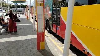 Palma de Mallorca Airport bus to Magaluf, Palma city center, Palma Nova...