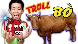 Tony | Lấy Pháo Pokemon Troll Động Vật