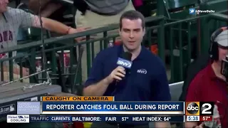 Reporter catches baseball during live report