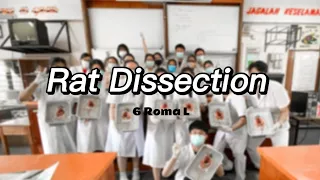 Rat Dissection 🐁| STPM SEM2 | 2022